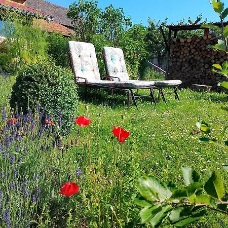 Loft Eifel Idylle Διαμέρισμα Nettersheim Εξωτερικό φωτογραφία