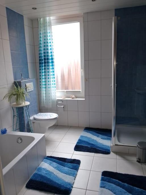 Loft Eifel Idylle Διαμέρισμα Nettersheim Εξωτερικό φωτογραφία