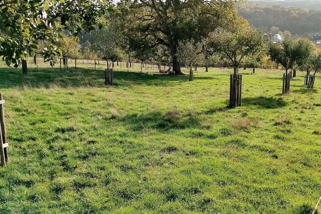 Loft Eifel Idylle Διαμέρισμα Nettersheim Εξωτερικό φωτογραφία