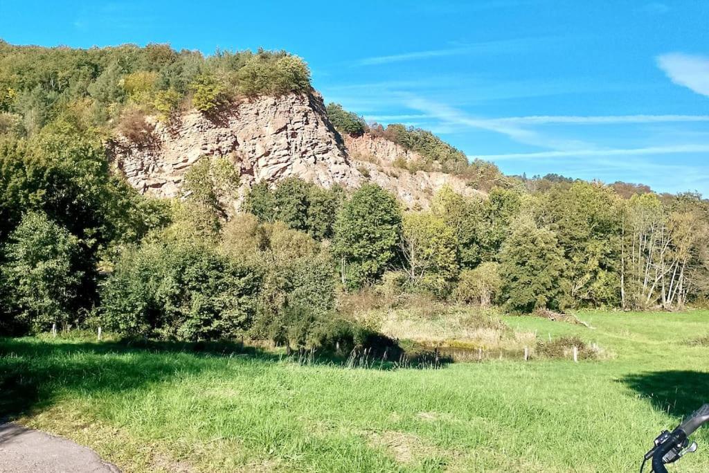 Loft Eifel Idylle Διαμέρισμα Nettersheim Εξωτερικό φωτογραφία