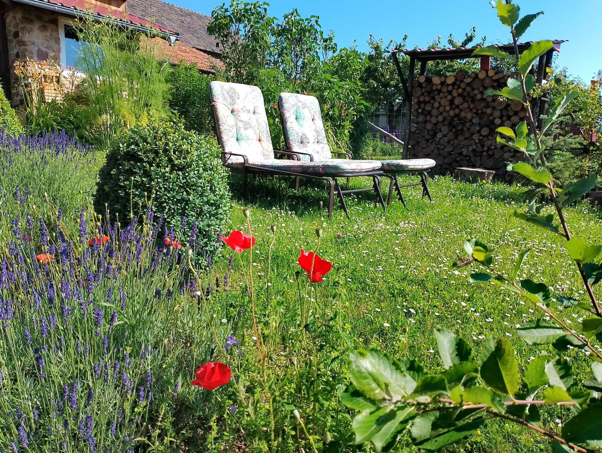 Loft Eifel Idylle Διαμέρισμα Nettersheim Εξωτερικό φωτογραφία